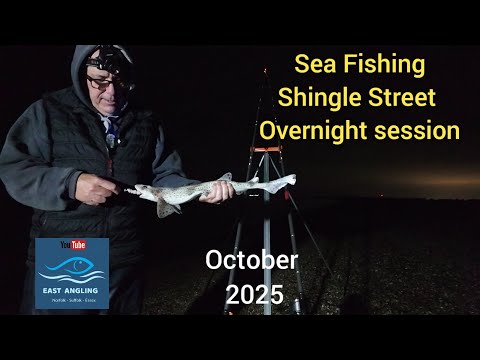 Видео: Морская рыбалка на Шингл-стрит с ночёвкой