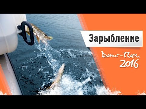 Видео: Зарыбление на Чебоксарском водохранилище. Джиг-Пари 2016