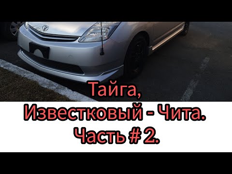 Видео: Перегон из Владивостока в Горно-Алтайск, Тойота Приус 20. Тайга, Известковый - Чита. Часть # 2.