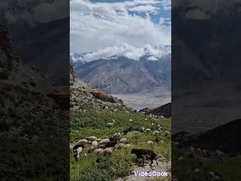 Видео: 1 октября 2024 г.