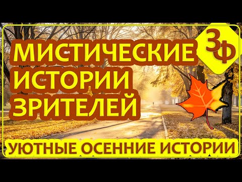 Видео: 299 Новые мистические истории в уютном осеннем парке на канале Занимательные Факты