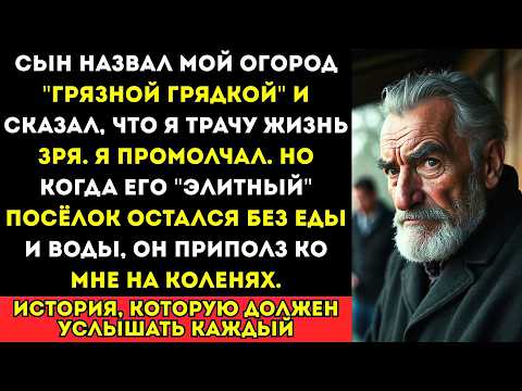 Видео: «Ты копаешься в ГРЯЗИ!» — смеялся сын. Но когда в городе пропала еда, он приполз ко мне на коленях…