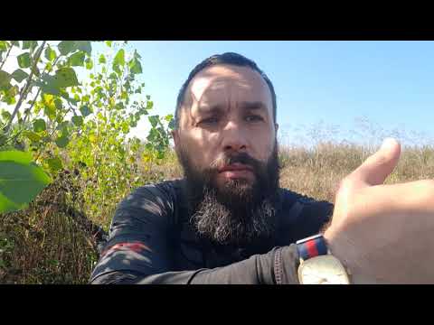 Видео: Куда пропал и когда будут новые видео.