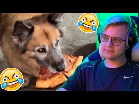 Видео: ПЯТЁРКА СМОТРИТ: UNUSUAL MEMES COMPILATION V173