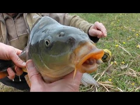 Видео: Открытие сезона 2023 года. Рыбалка с. Привольное 25 марта.