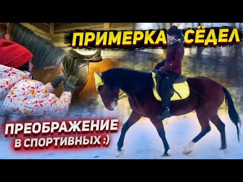 Видео: ПОКУПКА и ПРИМЕРКА СЁДЕЛ / Упражнения для работы в руках с жеребенком / VLOG