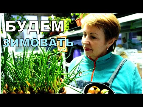 Видео: Не выбрасывайте это в компост! Все в ящики с плодородным грунтом и будет чудо