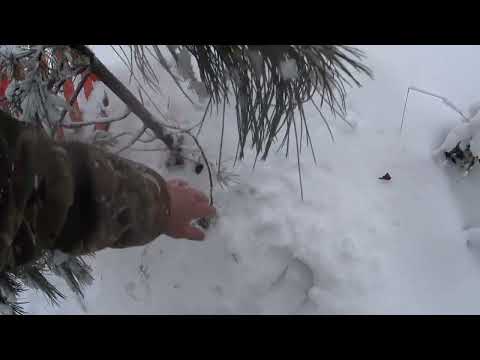 Видео: Зима началась внезапно...