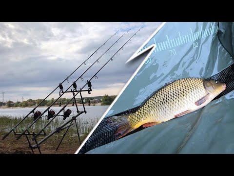 Видео: МЫ ЭТО СДЕЛАЛИ! РЫБАЛКА НА САЗАНА. Карпфишинг на Волге. 5 дней.
