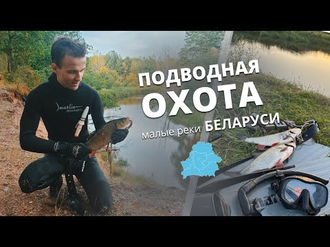 Видео: Подводная Охота на Малых Реках Беларуси. Осенняя ПО 2023. Щука, Язь, Голавль.