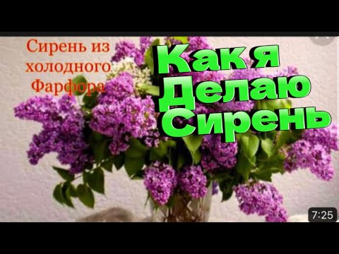 Видео: Как я делаю сирень из холодного фарфора/с#сирень #холодныйфарфор#алинатесаева/процесс работы