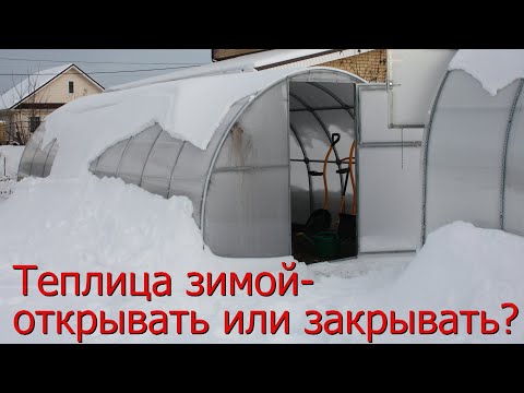 Видео: Теплица зимой - открывать или закрывать?