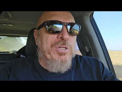 Видео: Нут "Заховит" и "Триумф" . Уборка и результаты.  No-till 06.08.2024