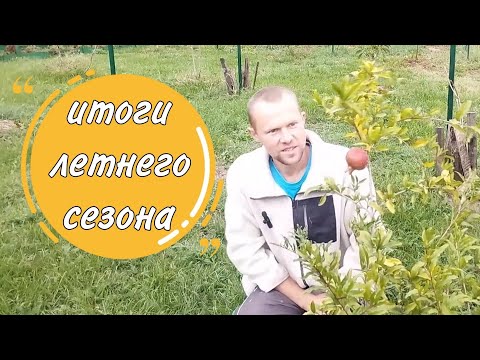 Видео: Итоги летнего сезона.Деревенская жизнь в Сербии