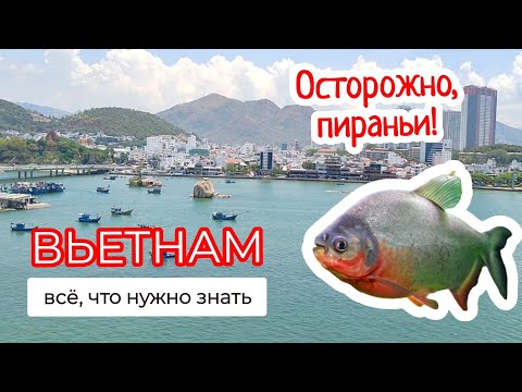 Видео: 🇻🇳 Вся правда про главный курорт 2025 ВЬЕТНАМ НЯЧАНГ
