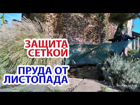 Видео: Как защитить пруд сеткой от листопада