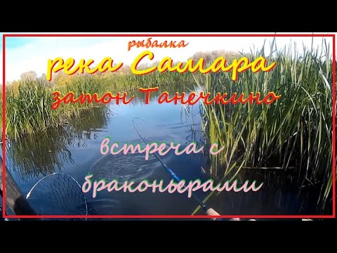 Видео: Рыбалка на щуку, р Самара, затон "Танечкино"