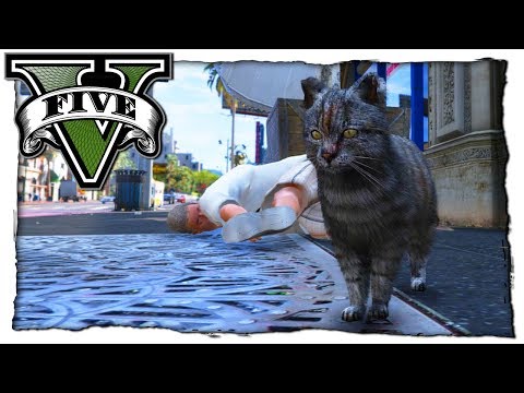 Видео: ПОМОЙНЫЙ КОТ ИЩЕТ ЕДУ! ЖИЗНЬ ЖИВОТНЫХ - GTA 5 МОДЫ