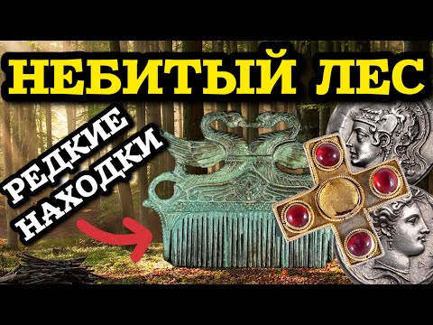 Видео: ЛЕСНОЙ КОП ПО СТАРИНЕ, ОЧЕНЬ МНОГО РЕДКИХ НАХОДОК!! НЕ ОЖИДАЛ ТАКОГО ФАРТА!! КОП С МЕТАЛЛОИСКАТЕЛЕМ!