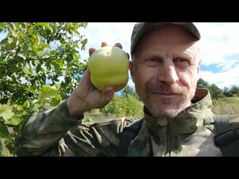 Видео: По Вапаки Мотался