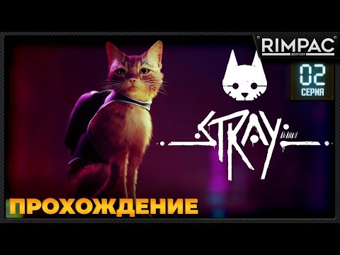 Видео: Stray прохождение _ часть 2