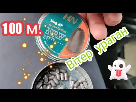 Видео: РСР Л-1 На 100м.