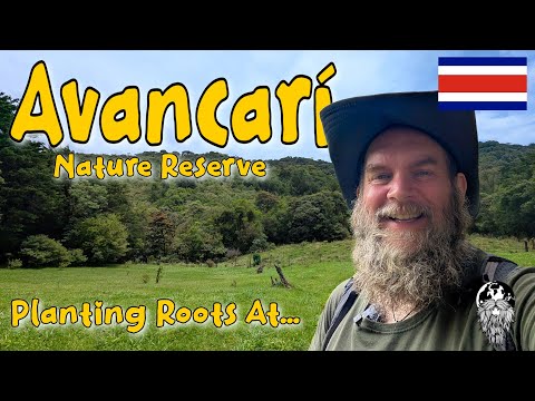 Видео: Пускаем корни в Коста-Рике! 🌱 | Природный заповедник Аванкари 🇨🇷