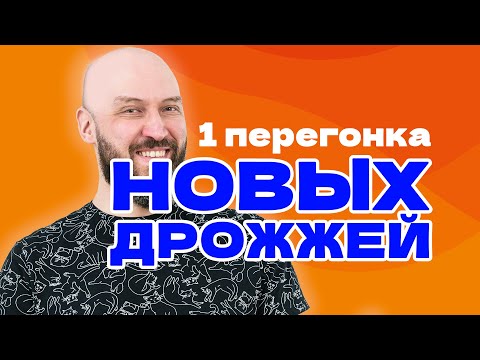 Видео: Первая перегонка новых дрожжей «Для самогона»