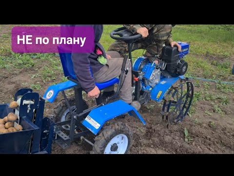 Видео: Сажаю КАРТОФЕЛЬ или учусь ездить по прямой. НЕВА#мотоблокнева #моехобби #картофелесажалка