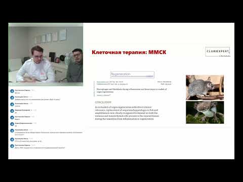 Видео: Что такое Мезенхимальные Стволовые Клетки