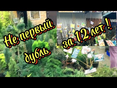 Видео: Ейск ! Весна , посадки , не первый дубль за 12 лет , НО всё ! Теперь буду беречь ! Едем к Надежде !