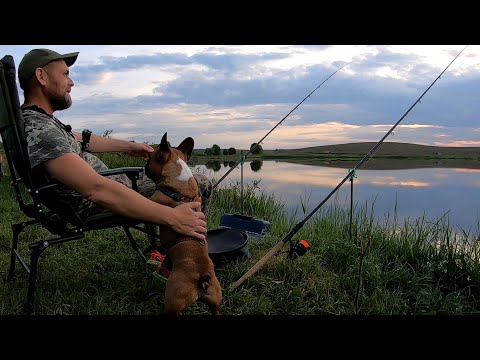 Видео: Долгожданная РЫБАЛКА с НОЧЕВКОЙ.Голодный КАРАСЬ,мясо НА КОСТРЕ,завтрак на ПРИРОДЕ у ВОДЫ!