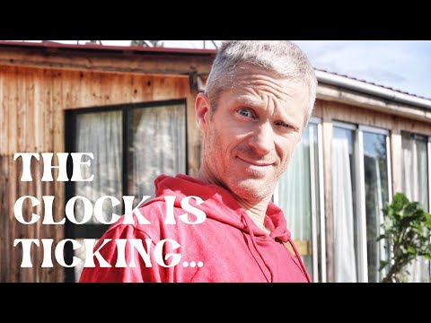 Видео: #18 Теряем землю из-за правительства? || Простая жизнь без электросети в сельской местности Порту...