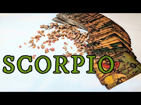 Видео: СКОРПИОН — для вас это решающий момент! 10–16 НОЯБРЯ