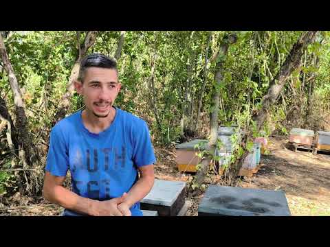 Видео: Эффективные полоски от клеща! Наш опыт.