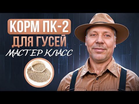 Видео: КАК я готовлю корм ПК-2 для гусей👨‍🌾 ПОШАГОВОЕ РЕЦЕПТ #МоеПодворье