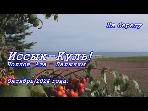 Видео: Иссык-Куль, осень 2024! Чолпон-Ата-Балыкчы.