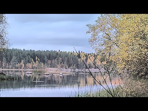 Видео: "За хищником на озеро!"