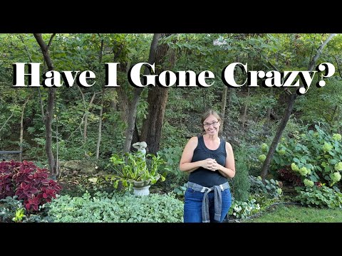 Видео: Я что, сошёл с ума? Инвазивная жимолость, граб и калифорнийский граб, боже мой!