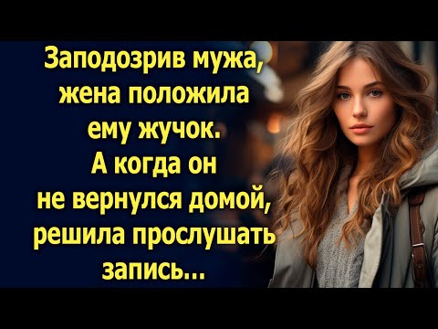Видео: Заподозрив мужа, жена положила ему жучок. А когда он не вернулся домой…