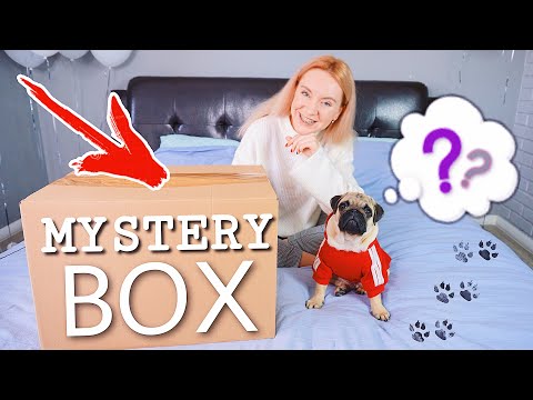 Видео: МИСТЕРИ БОКС ДЛЯ СОБАК 🐶 ТАЙНАЯ КОРОБКА ДЛЯ БАКС ЗУМ 😱РАСПАКОВКА ЧЕЛЛЕНДЖ UNBOXING MYSTERY BOX
