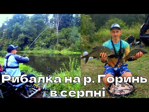 Видео: Рибалка на р. Горинь.  Рибалка на СОМА.  Впіймав САЗАНА на фідер!