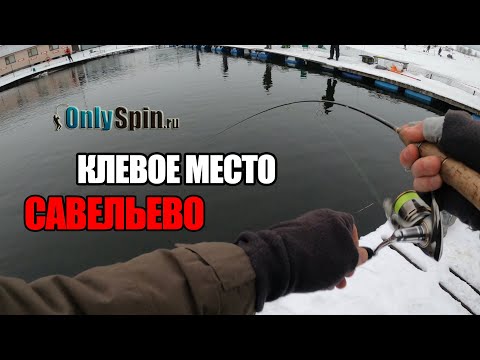 Видео: Ловля форели на спиннинг в мороз на блесна и резину. Рыбалка в Клевом месте Савельево. #OnlySpin