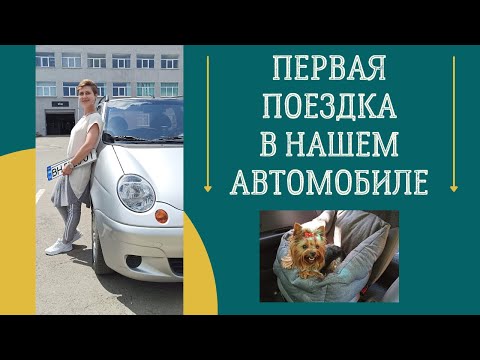 Видео: Dogvlog. У нас появился автомобиль! Знакомство с машиной. Йоркширский терьер в автокресле для собак