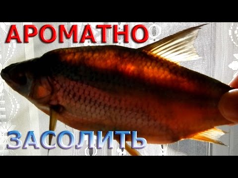 Видео: Как ПЛОТВУ АРОМАТНО засолить,вымочить,завялить,посушить...