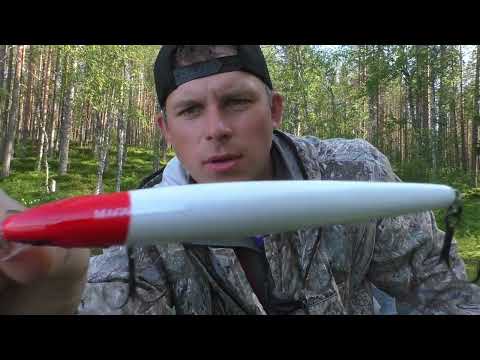 Видео: Загадочное озеро.Куда делась рыба. Ловля щуки на озере.