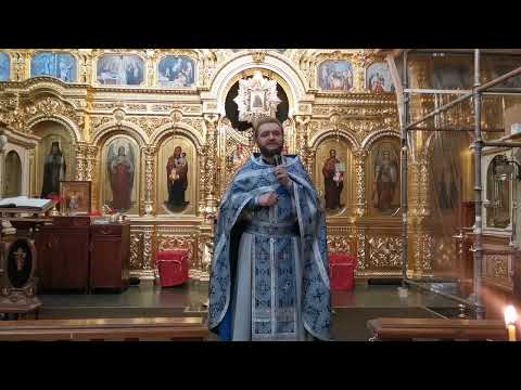 Видео: ТАЛАНТ ДРУЖБЫ. Отец Савва (Мажуко).