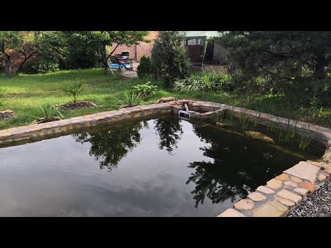 Видео: Что случилось с прудом осенью, такого я не ожидал.