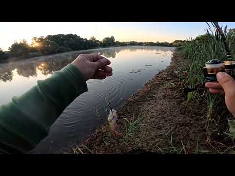 Видео: Мормышинг и микроджиг/ одноухий, мормышка, мушка, на что лучше клевало?