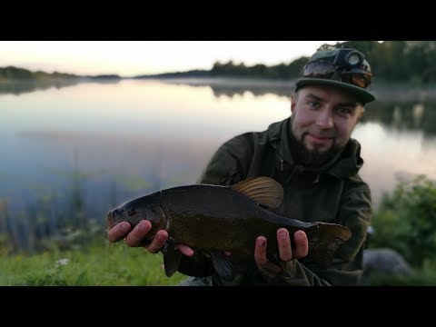 Видео: Рыбалка на Браславских озерах: Богинское и Высокое